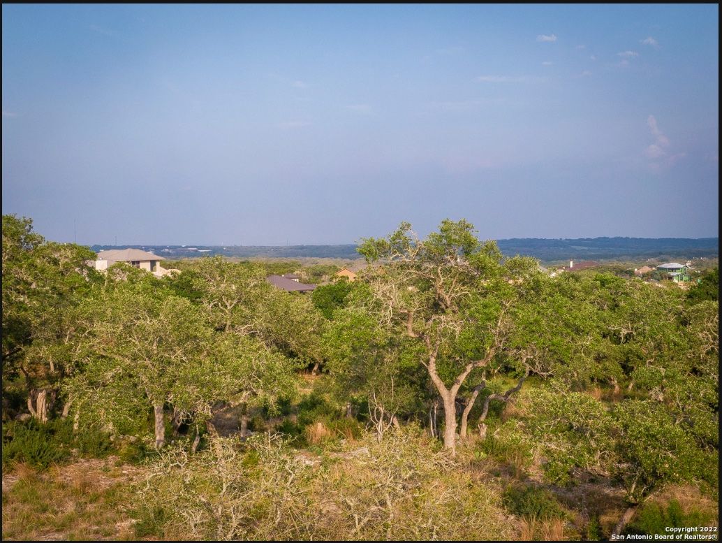 Mature live oaks framing the distant ridgelines