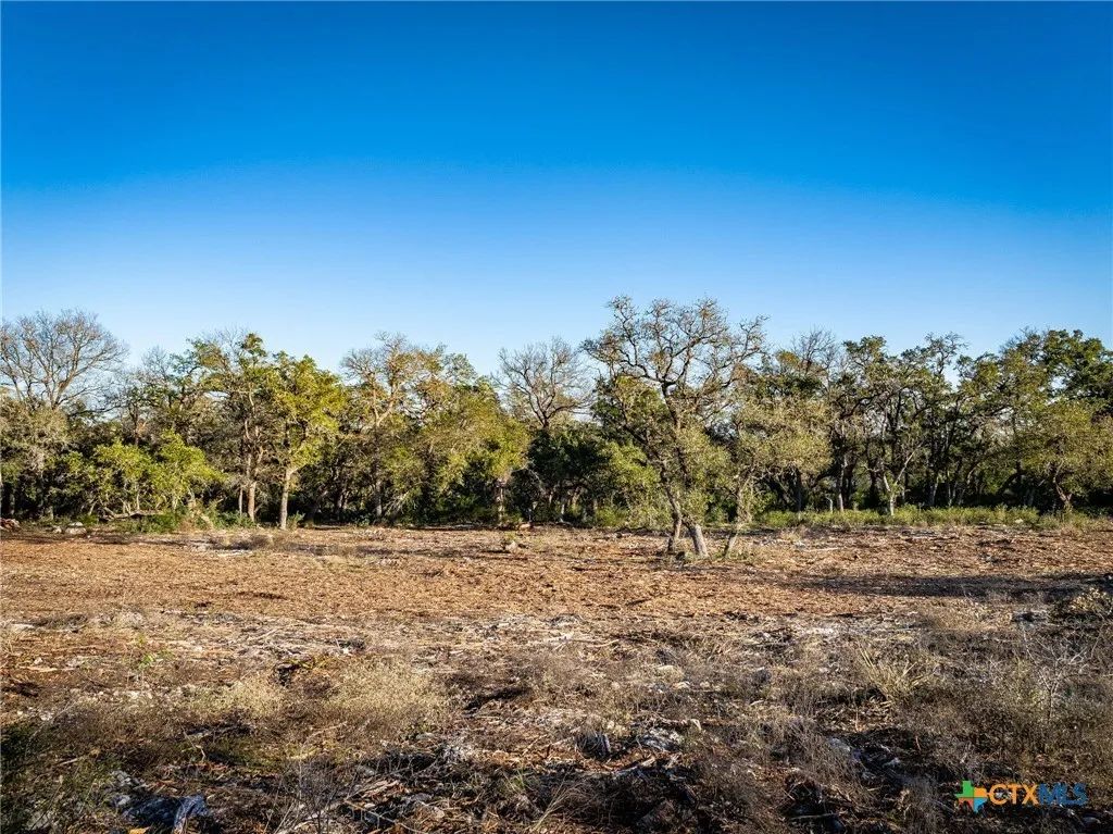 Building area looking toward the tree line