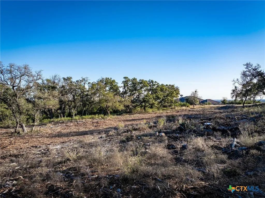 Scattered oaks and native grasses